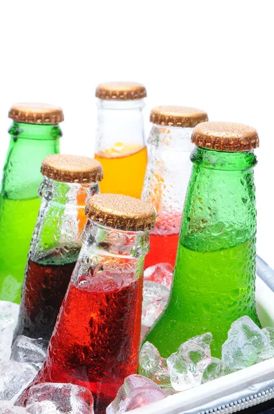 Rozmanité soda láhve v mrazák — Stock fotografie