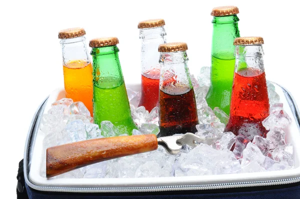 Garrafas de refrigerante sortidas no peito de gelo — Fotografia de Stock