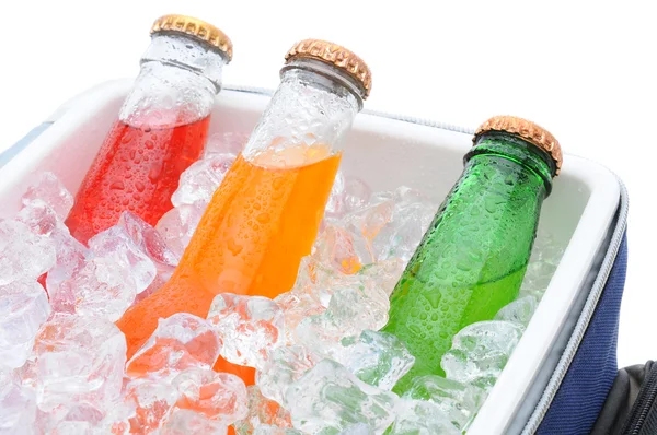 Fechar de três garrafas de refrigerante no peito de gelo — Fotografia de Stock