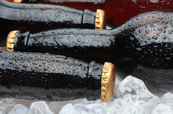 Gros plan de bouteilles de bière brune posées dans la glace — Photo