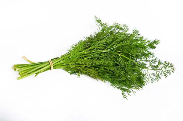 Fennel bunch on white background — Stock Photo, Image
