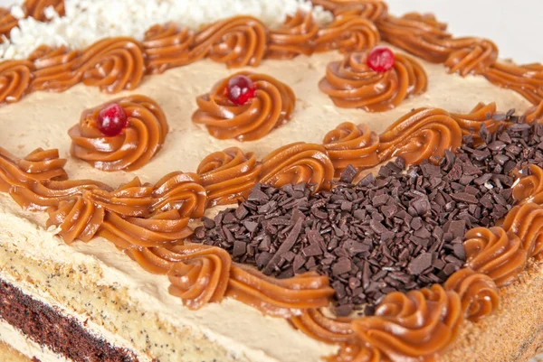 Chocolade swiss roll — Stockfoto