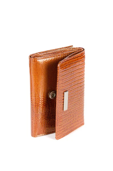 Modern brown female wallet — Stock Photo, Image