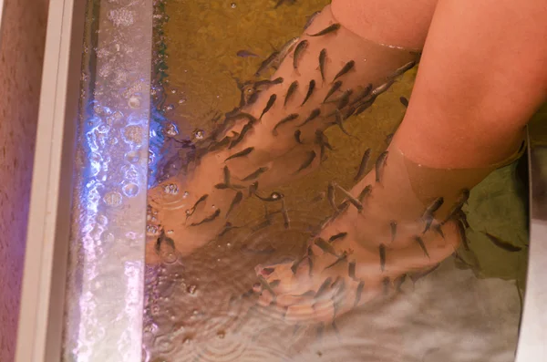 Pesce spa pedicure — Foto Stock