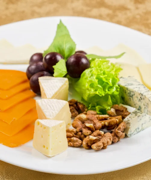 Cheese — Stock Photo, Image