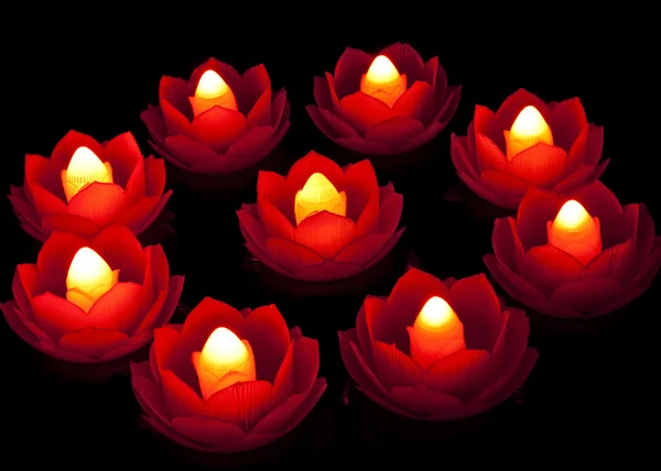 Lampa lotosowa Zdjęcie Stockowe