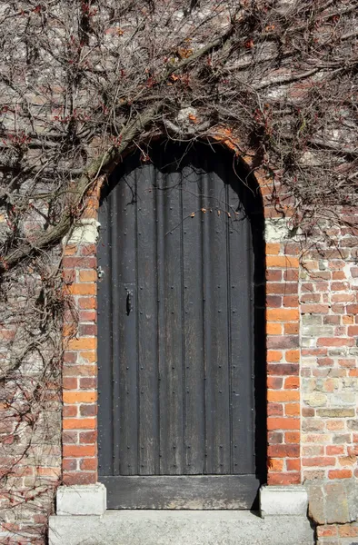 Antica porta in legno a Bruges — Foto Stock