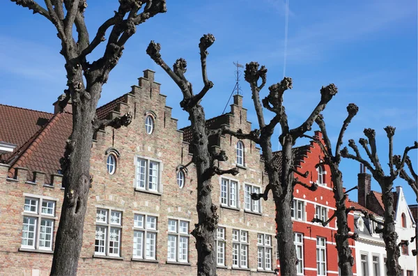 Tipikus Bruges homlokzatok — Stock Fotó