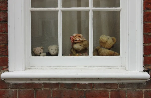 Family of teddy bears on the window. — Stock Photo, Image