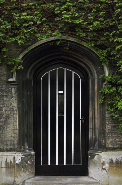 Porte d'entrée typique en vieil anglais avec lierre — Photo