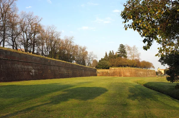 Lucca antigua muralla de la ciudad — Foto de Stock