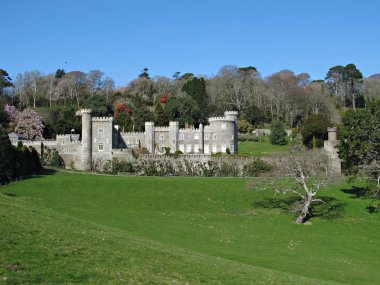 Cornwall caerhays Kalesi