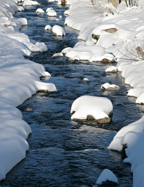 Pohled na řeku snowy Stock Fotografie