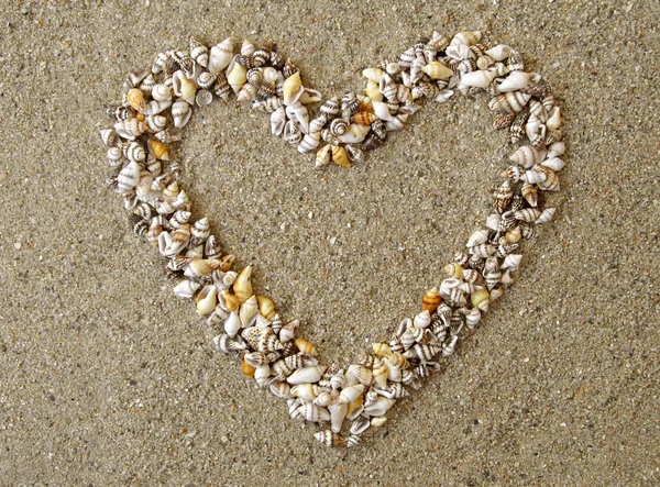 Coração arranjado de Seashells — Fotografia de Stock