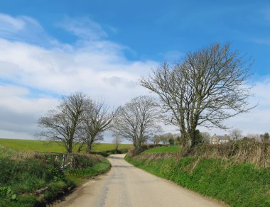 Typical English Country Road in Cornwall clipart