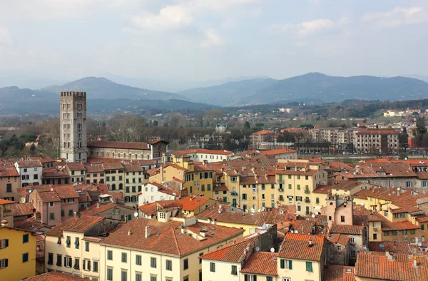 Lucca letecký panoramatický pohled s Piazza dell' Anfiteatro — Stock fotografie