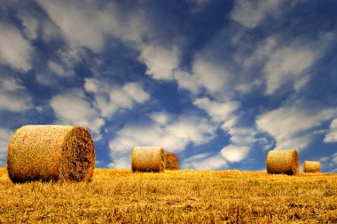 Hay or Straw Bales. clipart