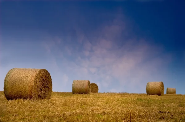 Hay or Straw Bales — Stock Photo, Image