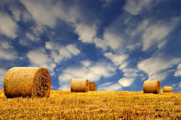 Hay or Straw Bales. — Stock Photo, Image