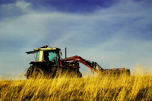 Trator trabalhando em um campo de trigo . — Fotografia de Stock