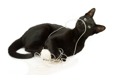 Black cat and string. clipart