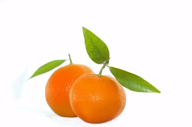 Satsumas