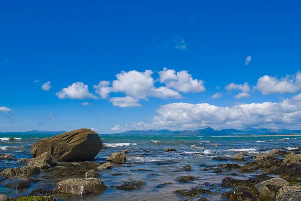 stock image Shell Island North Wales