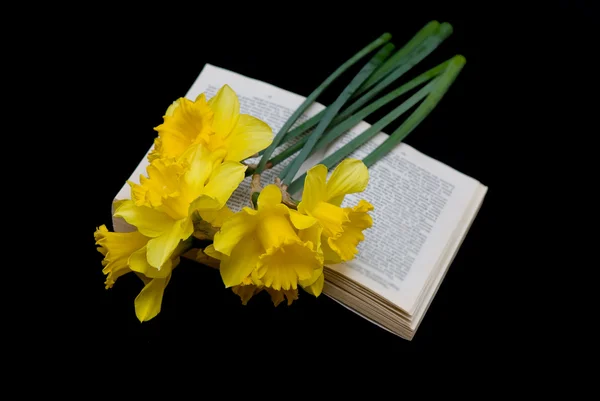 Daffodils e um livro — Fotografia de Stock