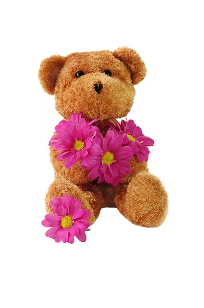 Nallebjörn och rosa blommor — Stockfoto