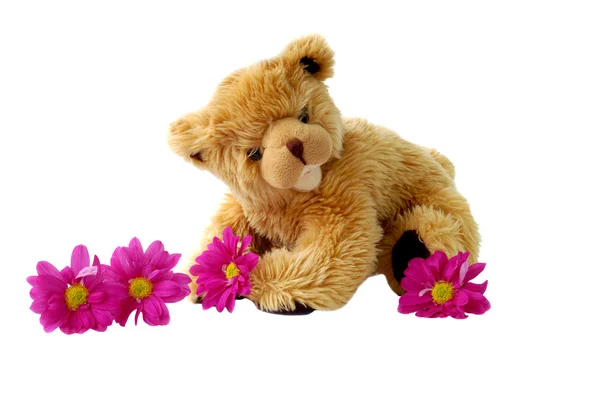 Іграшковий ведмідь і квіти — стокове фото