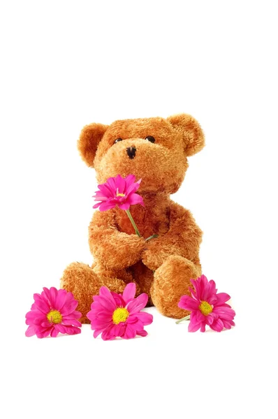 Teddy och blommor — Stockfoto