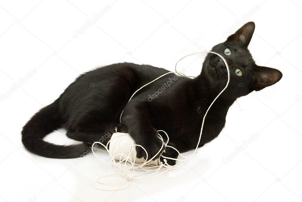 Black cat and string.