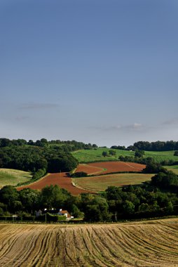 tarım arazisi somerset, İngiltere.