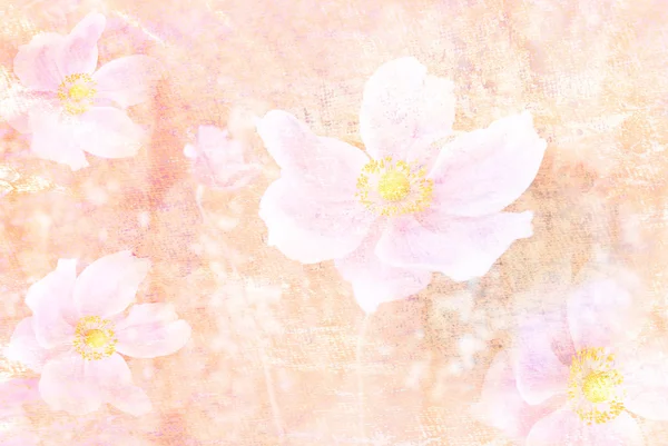 Verträumter floraler Hintergrund. — Stockfoto