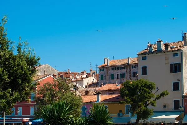 Seagulls and roofs of Rovinj — Stock Photo, Image