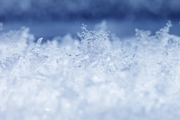 Frost — Stock Photo, Image