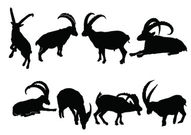 Ibex collection clipart