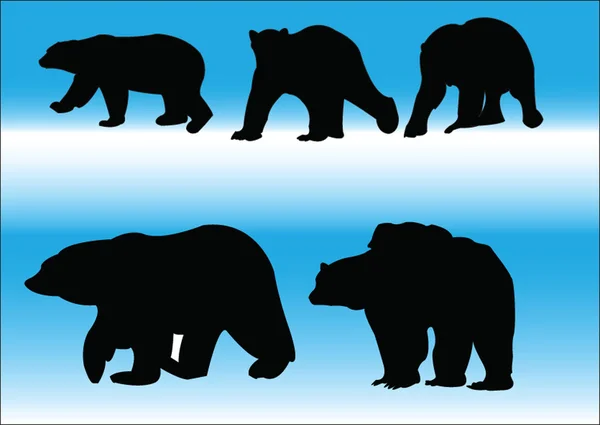 Collection d'ours polaires — Image vectorielle