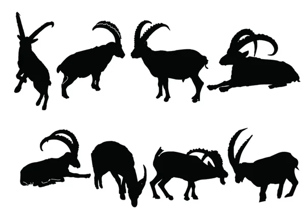 Steenbok collectie — Stockvector