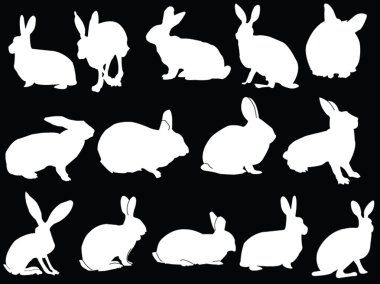 Bunny collection clipart