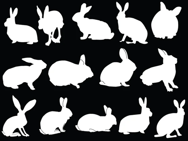 Bunny koleksiyonu Telifsiz Stok Illüstrasyonlar
