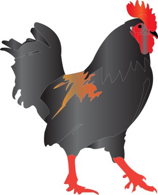 Rooster clipart