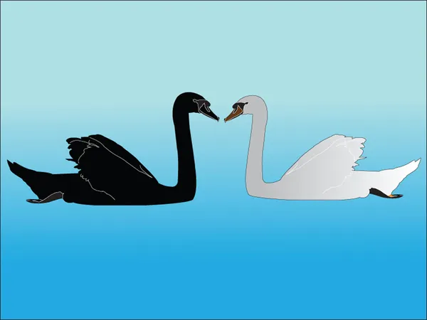 Witte en zwarte zwaan — Stockvector