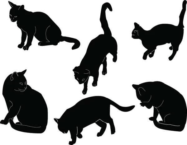 Collezione Cat — Vettoriale Stock
