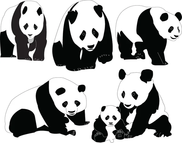 stock vector Panda collection