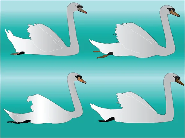 Коллекция белого лебедя — стоковый вектор