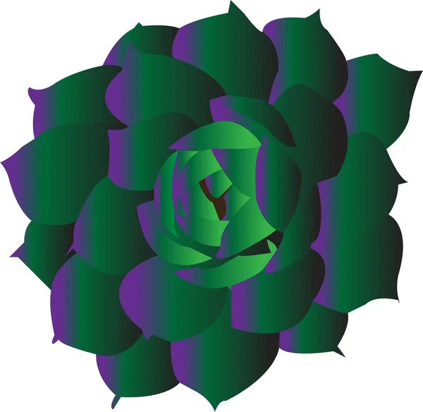 Иллюстрация цветов кактуса Стоковый вектор