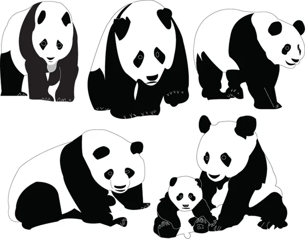 Panda collectie Rechtenvrije Stockvectors