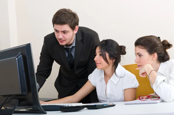 stock image Young group of business working at the office