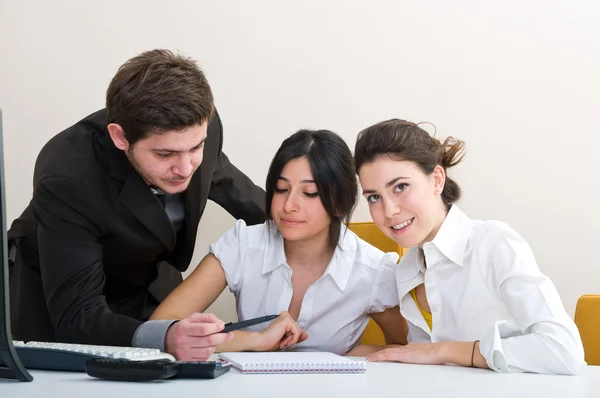 stock image Young group of business working at the office